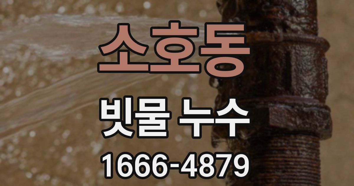 소호동 빗물 누수