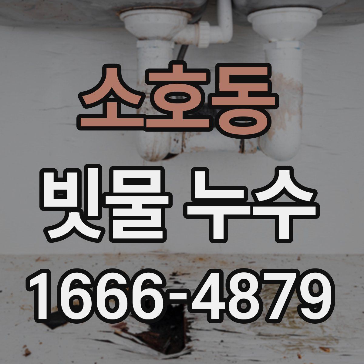 소호동 빗물 누수