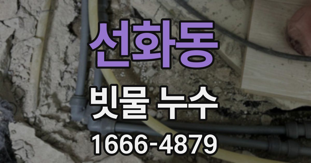 선화동 빗물 누수