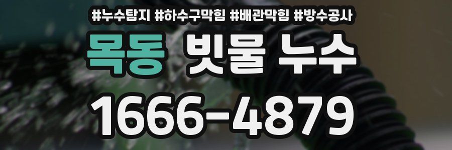 목동 빗물 누수