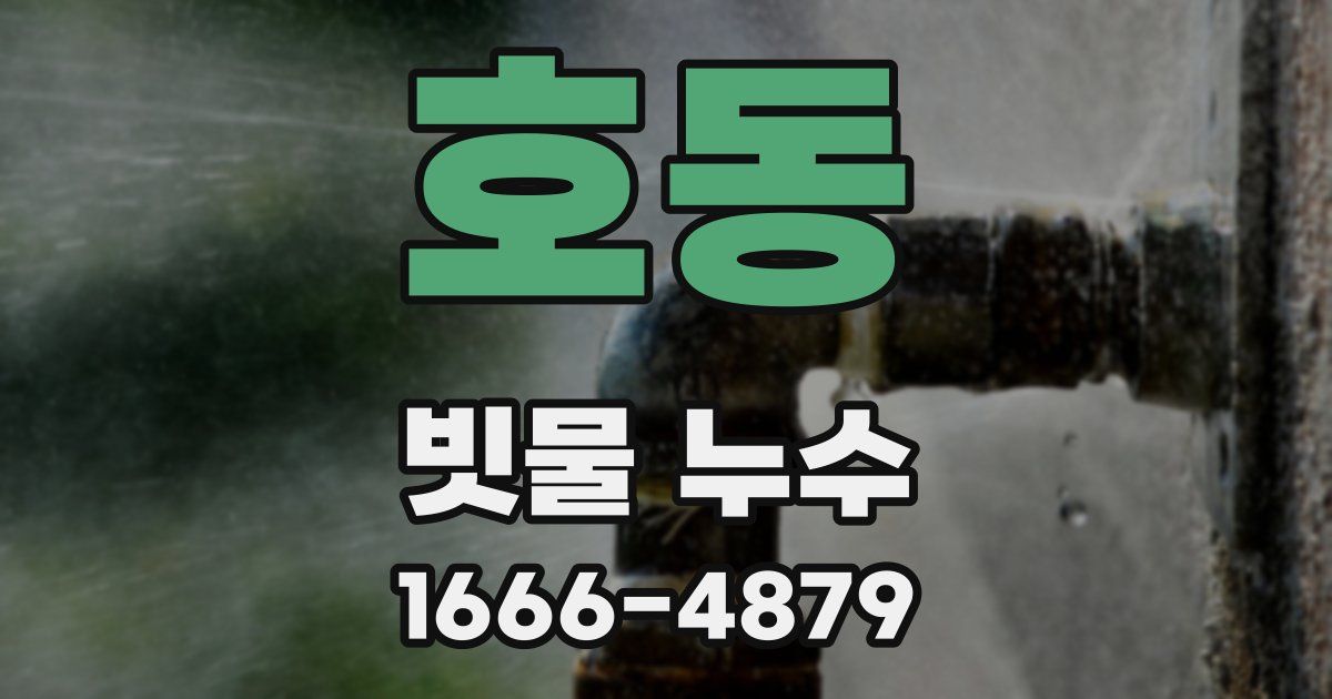 호동 빗물 누수