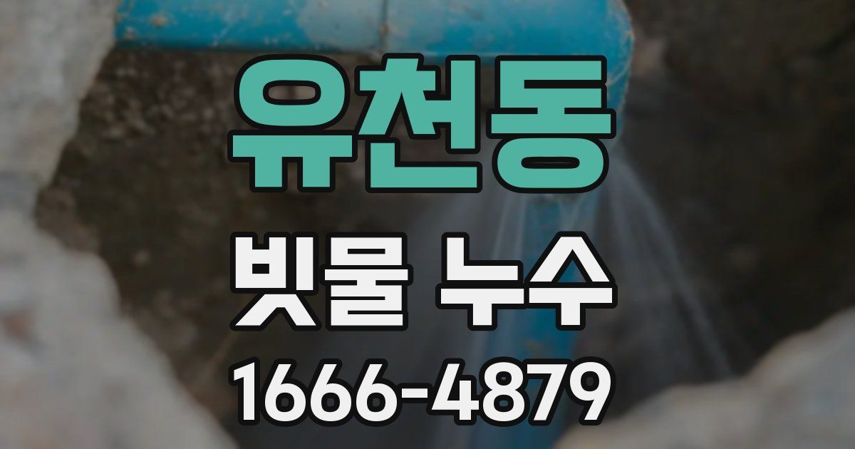 유천동 빗물 누수