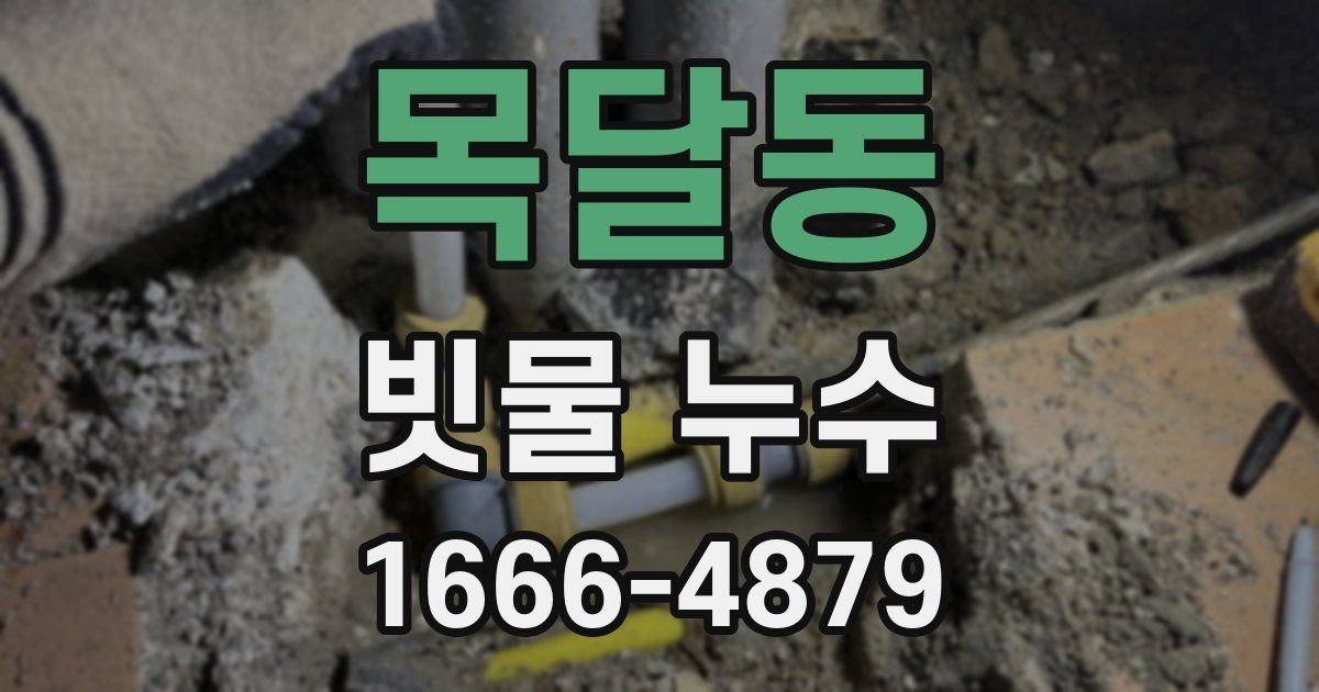 목달동 빗물 누수