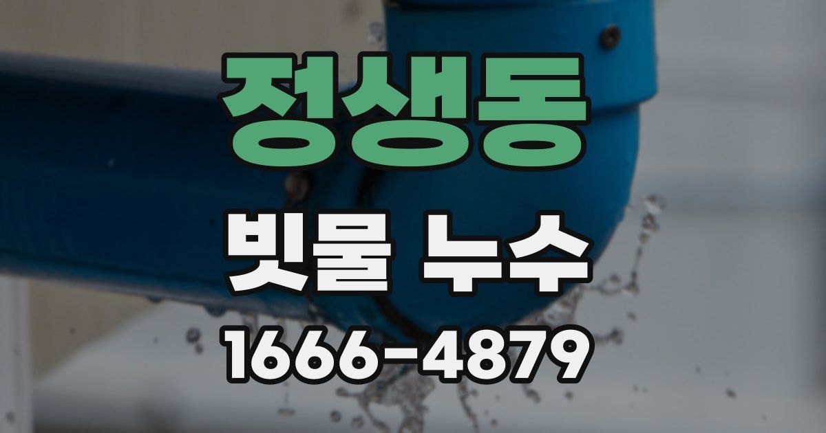 정생동 빗물 누수