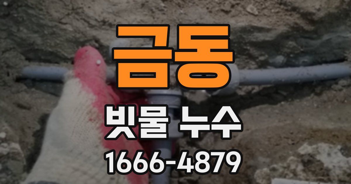 금동 빗물 누수