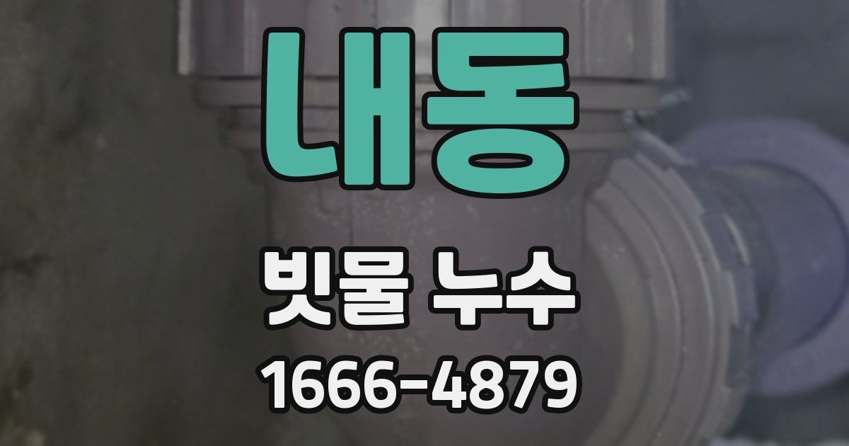 내동 빗물 누수