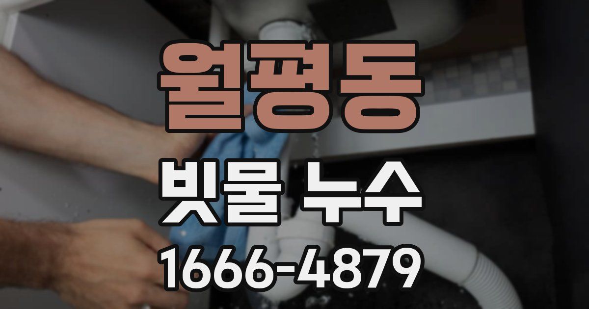 월평동 빗물 누수