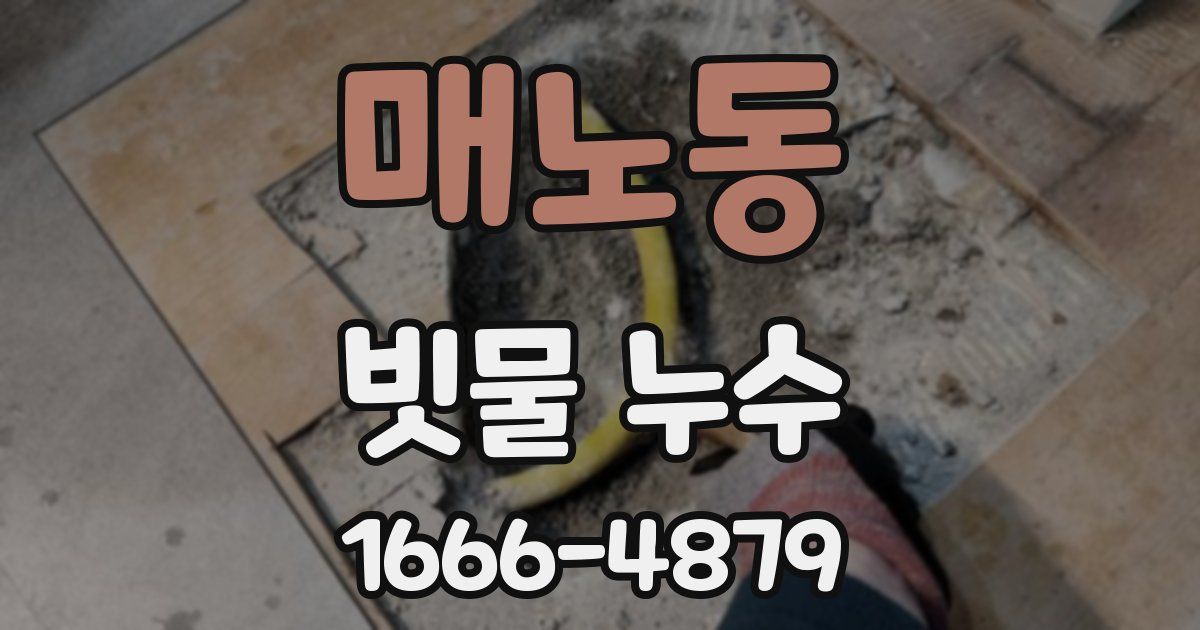 매노동 빗물 누수
