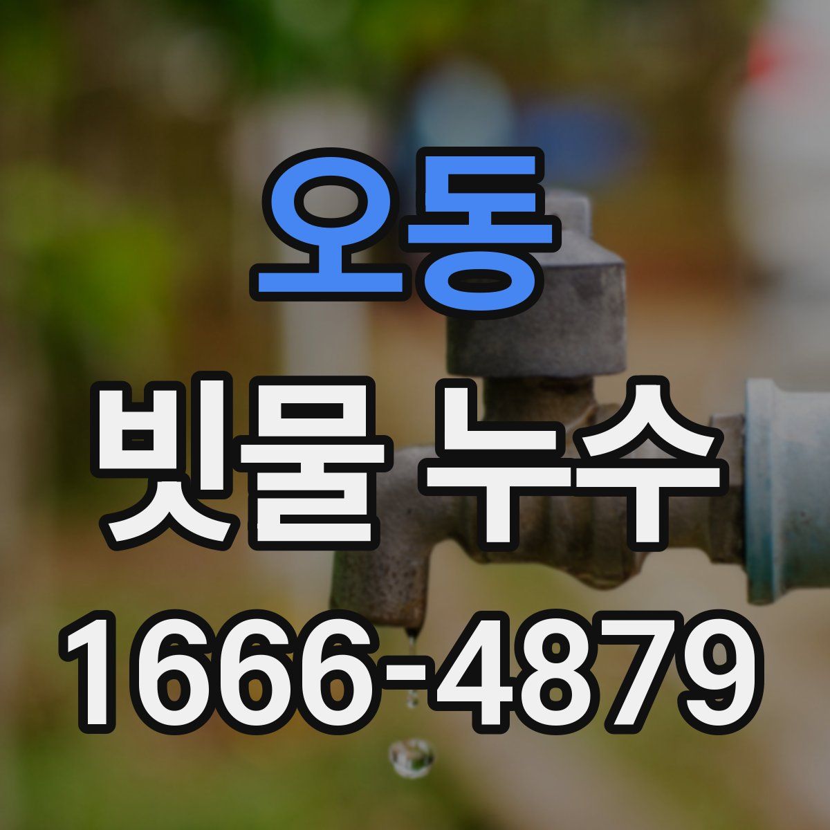 오동 빗물 누수