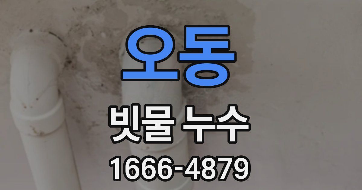 오동 빗물 누수
