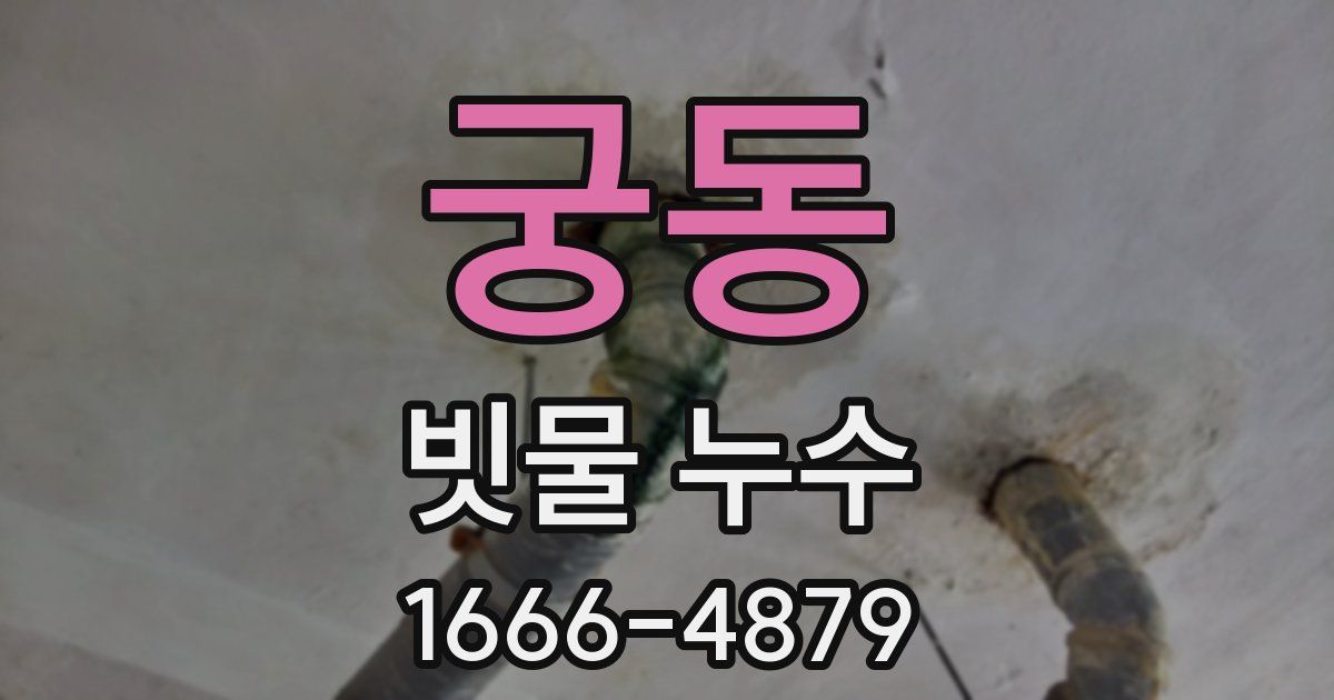 궁동 빗물 누수