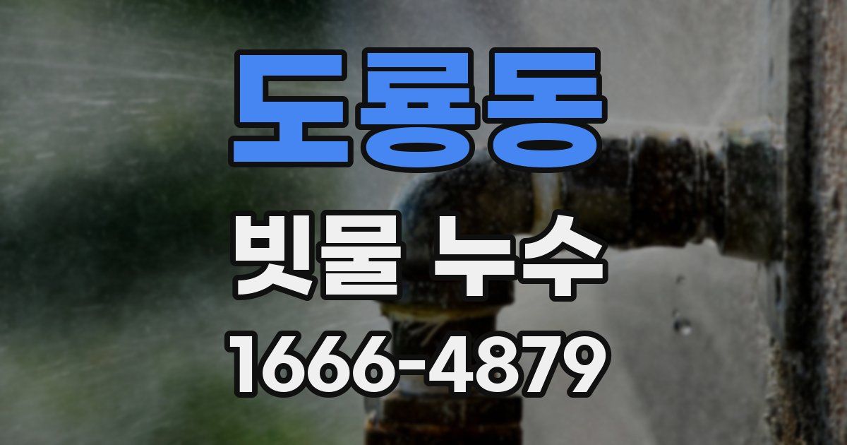 도룡동 빗물 누수