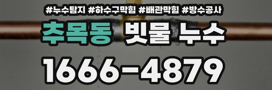 추목동 빗물 누수