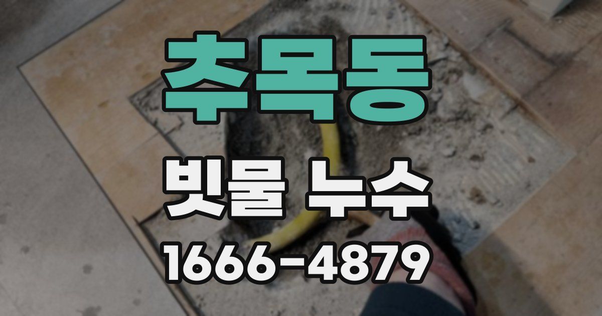 추목동 빗물 누수