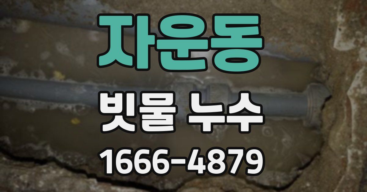 자운동 빗물 누수