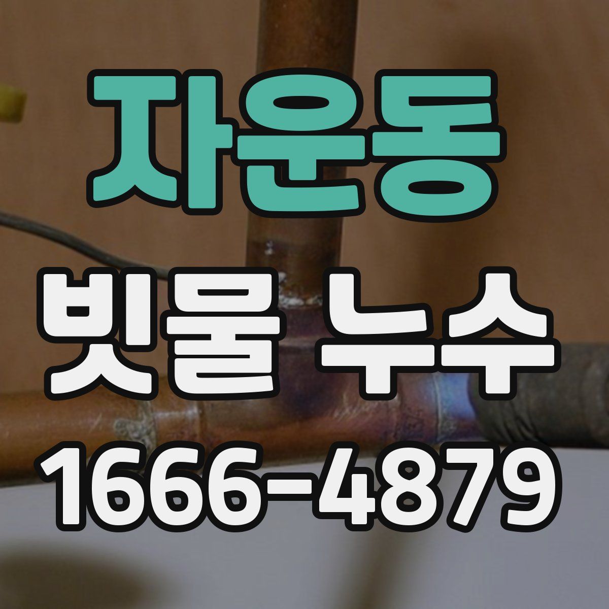 자운동 빗물 누수