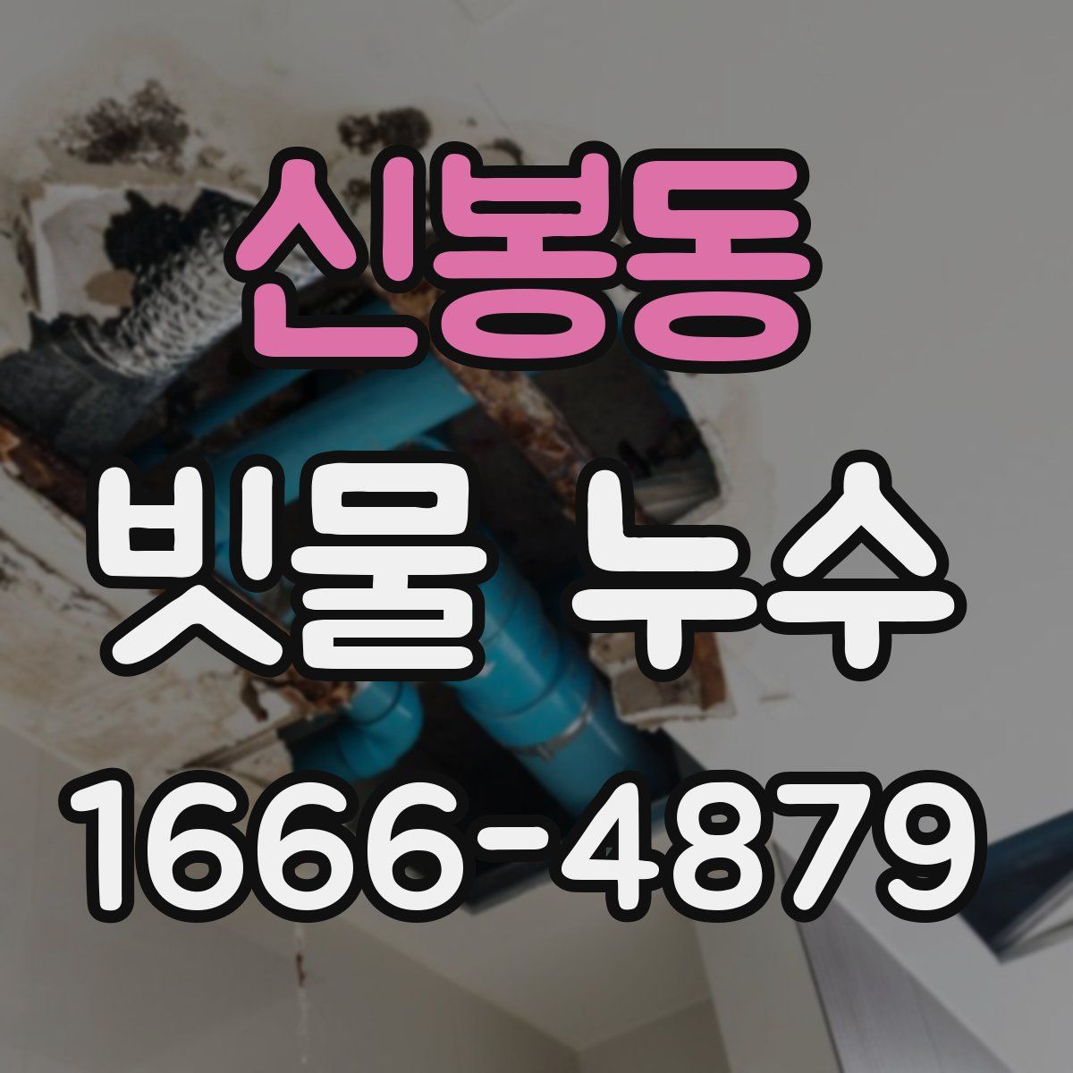 신봉동 빗물 누수