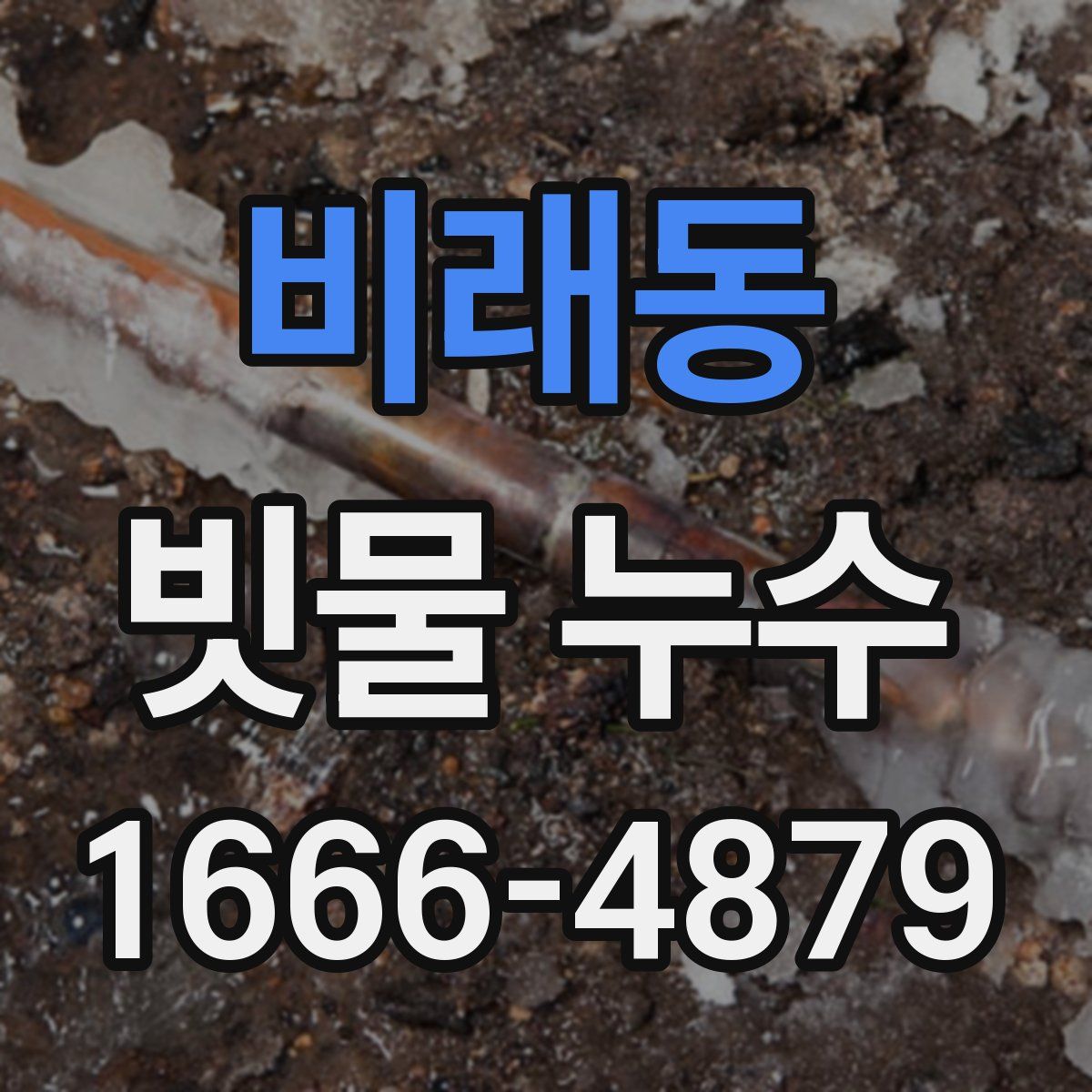 비래동 빗물 누수