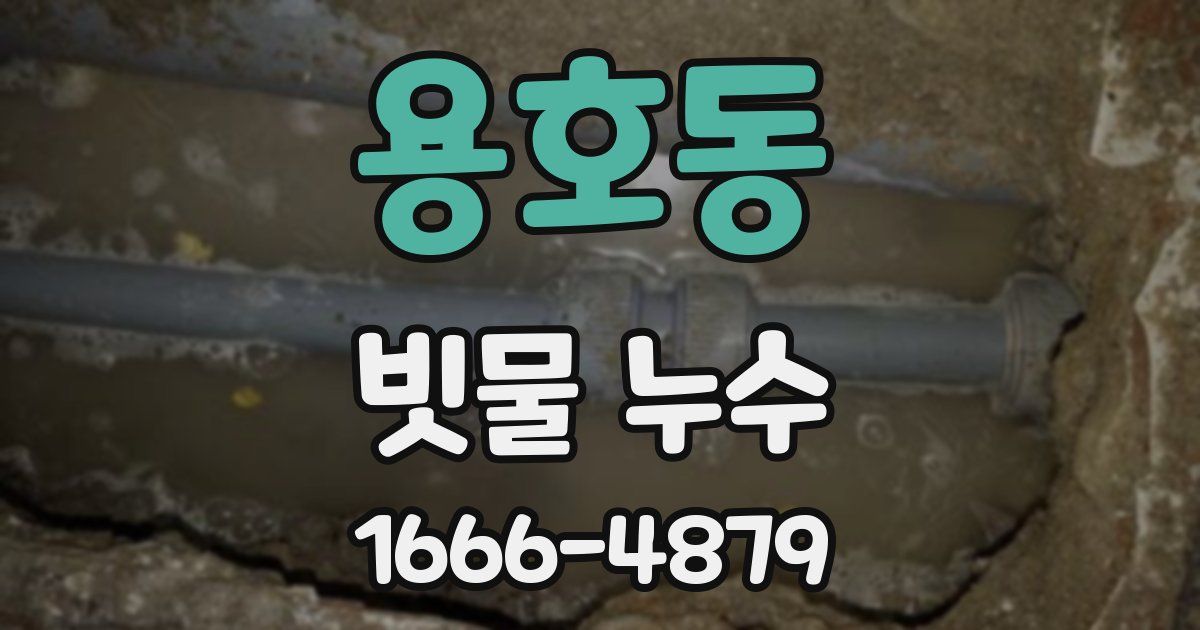 용호동 빗물 누수