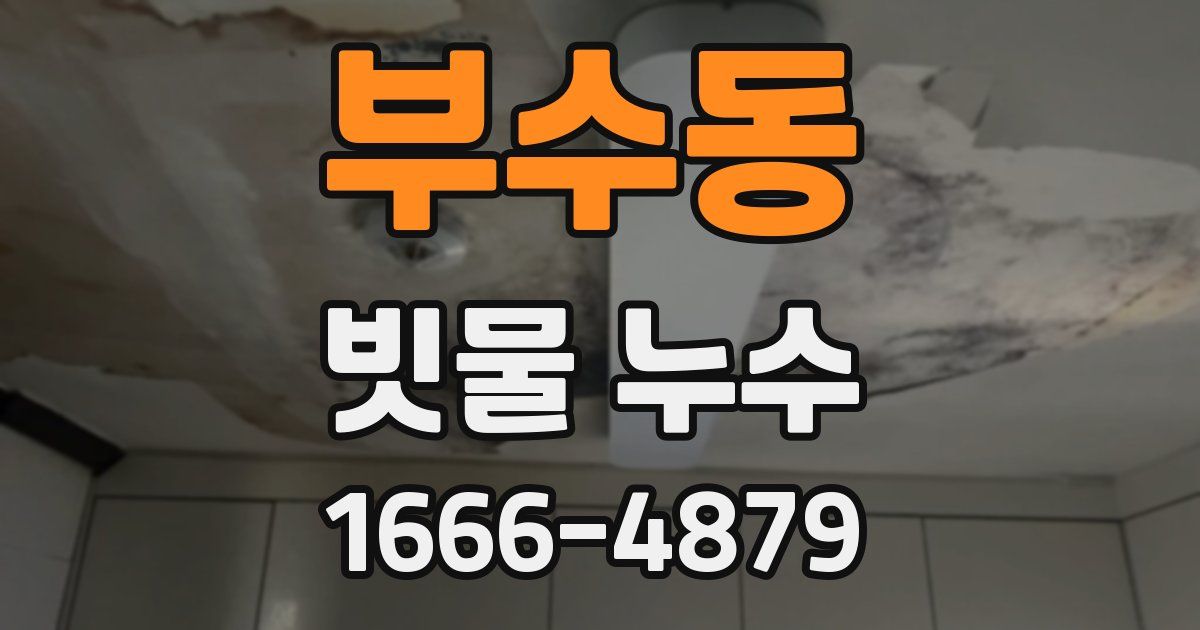 부수동 빗물 누수