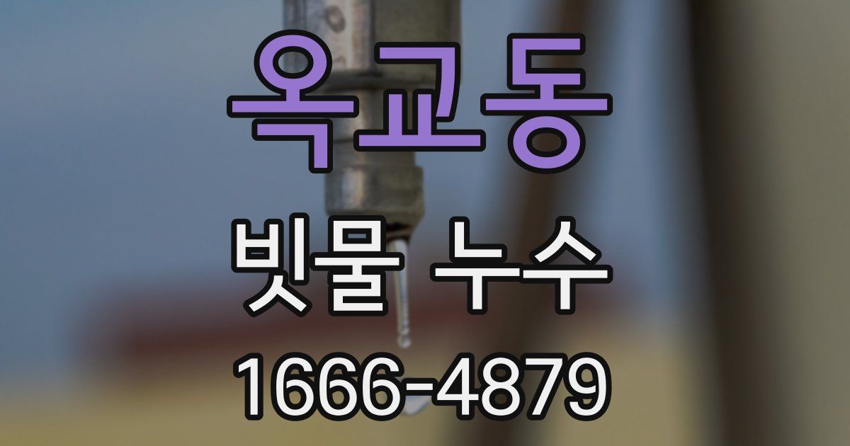 옥교동 빗물 누수