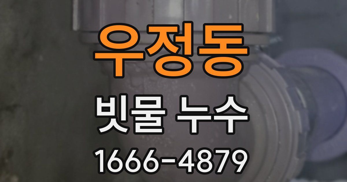 우정동 빗물 누수