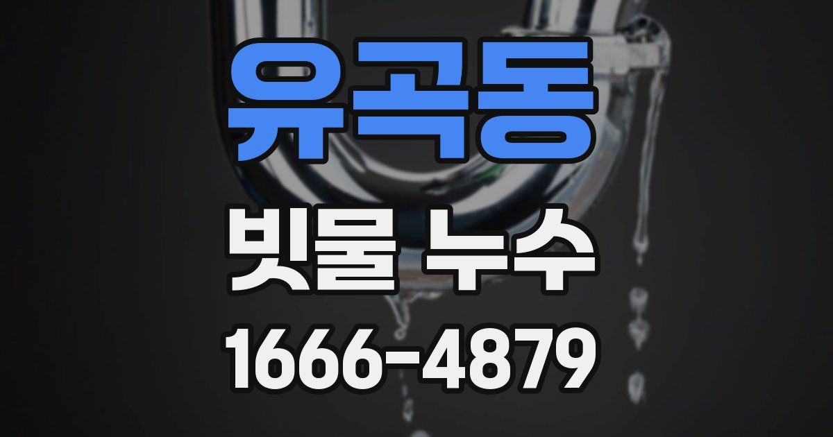 유곡동 빗물 누수