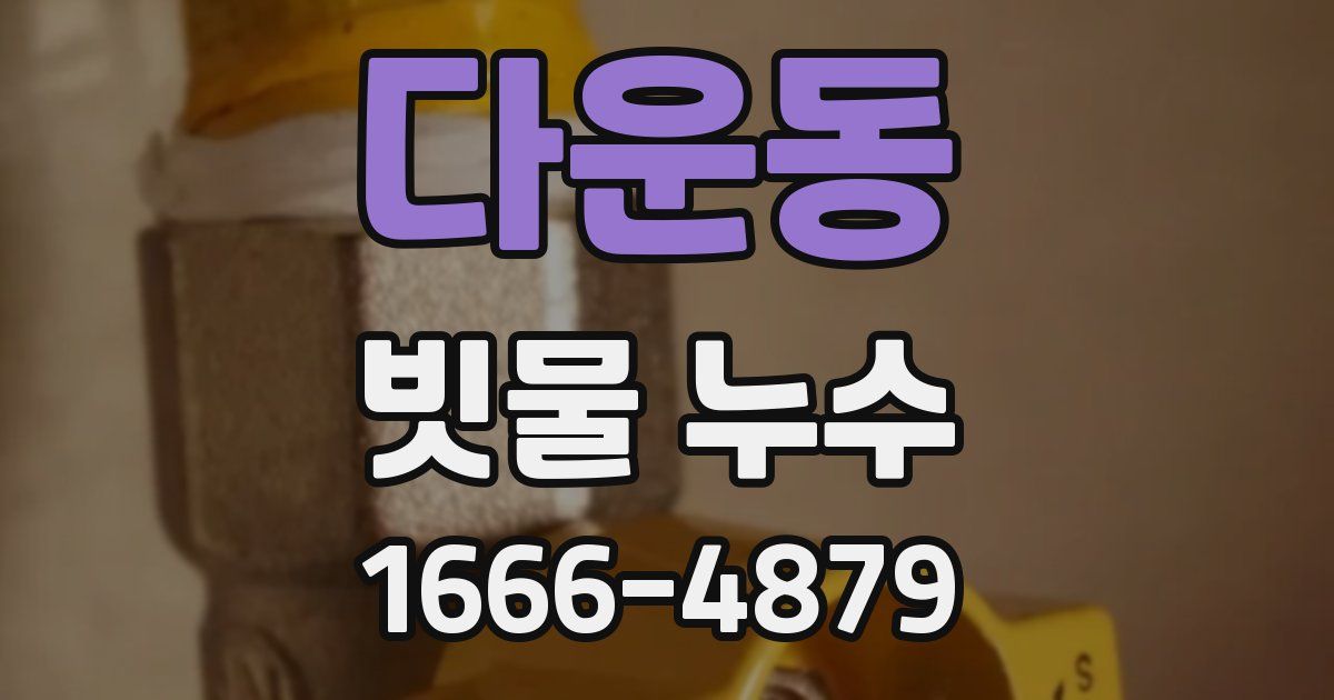 다운동 빗물 누수