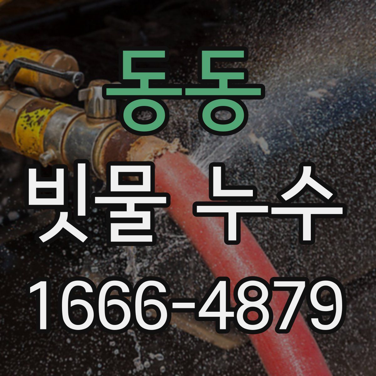 동동 빗물 누수