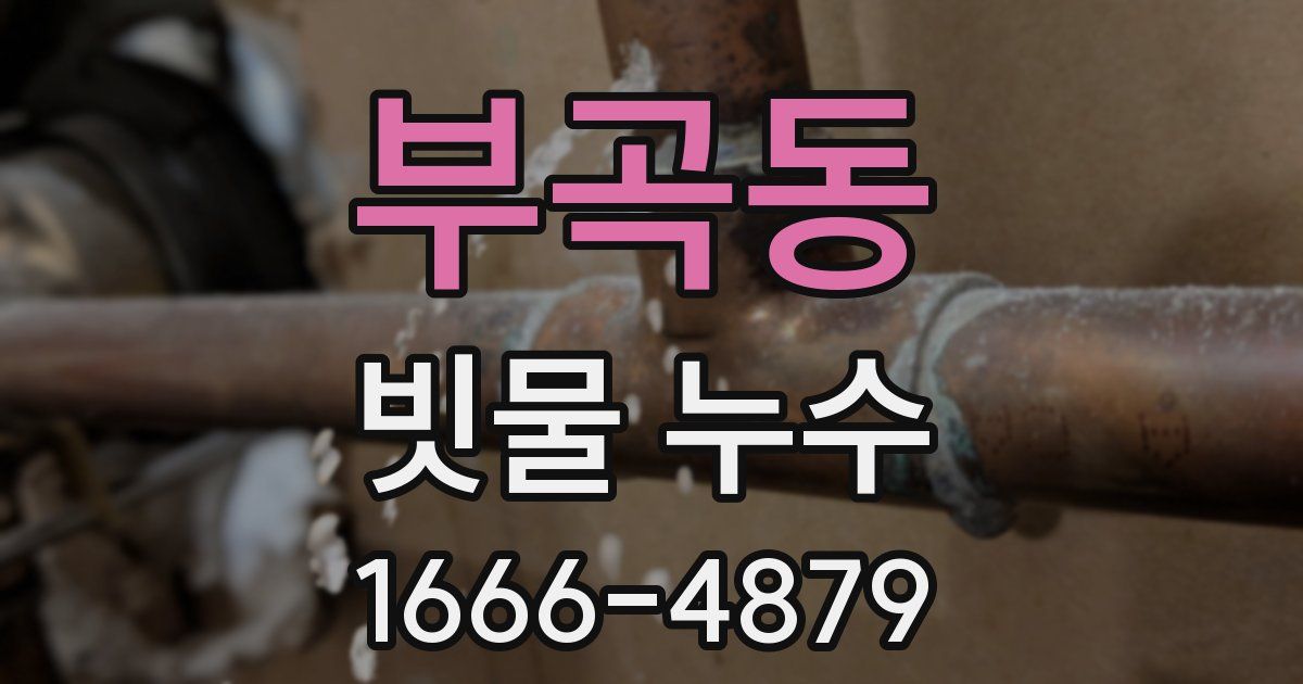 부곡동 빗물 누수