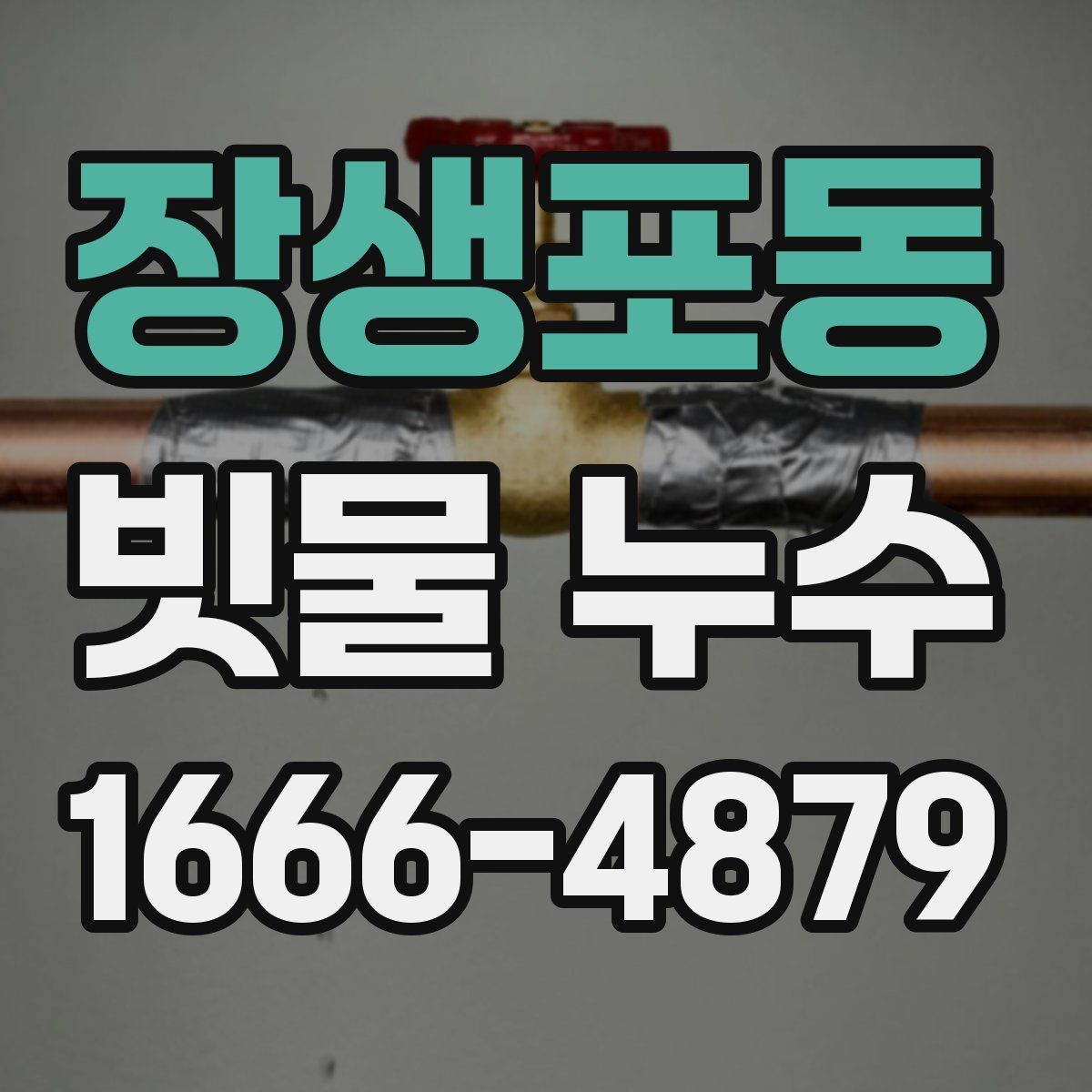 장생포동 빗물 누수