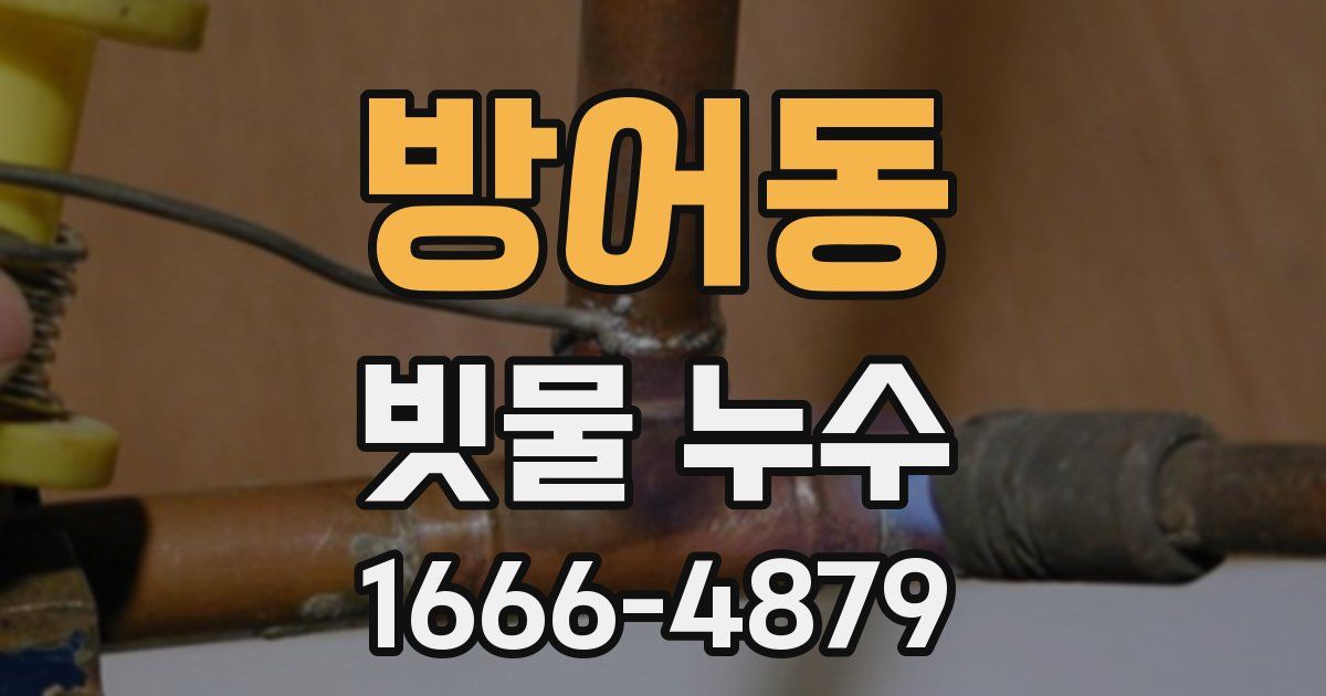 방어동 빗물 누수