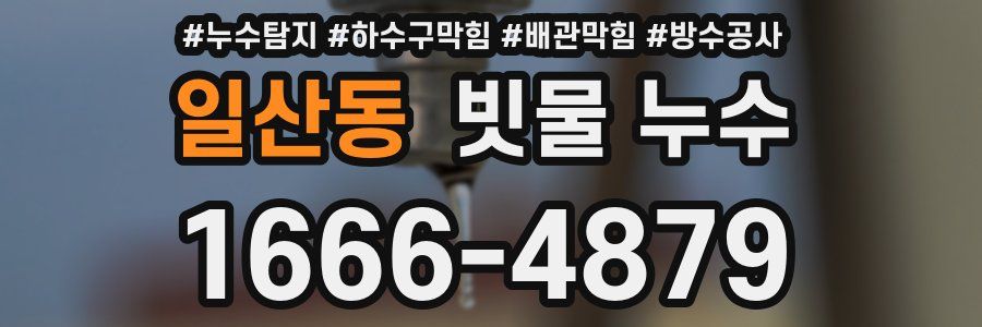 일산동 빗물 누수