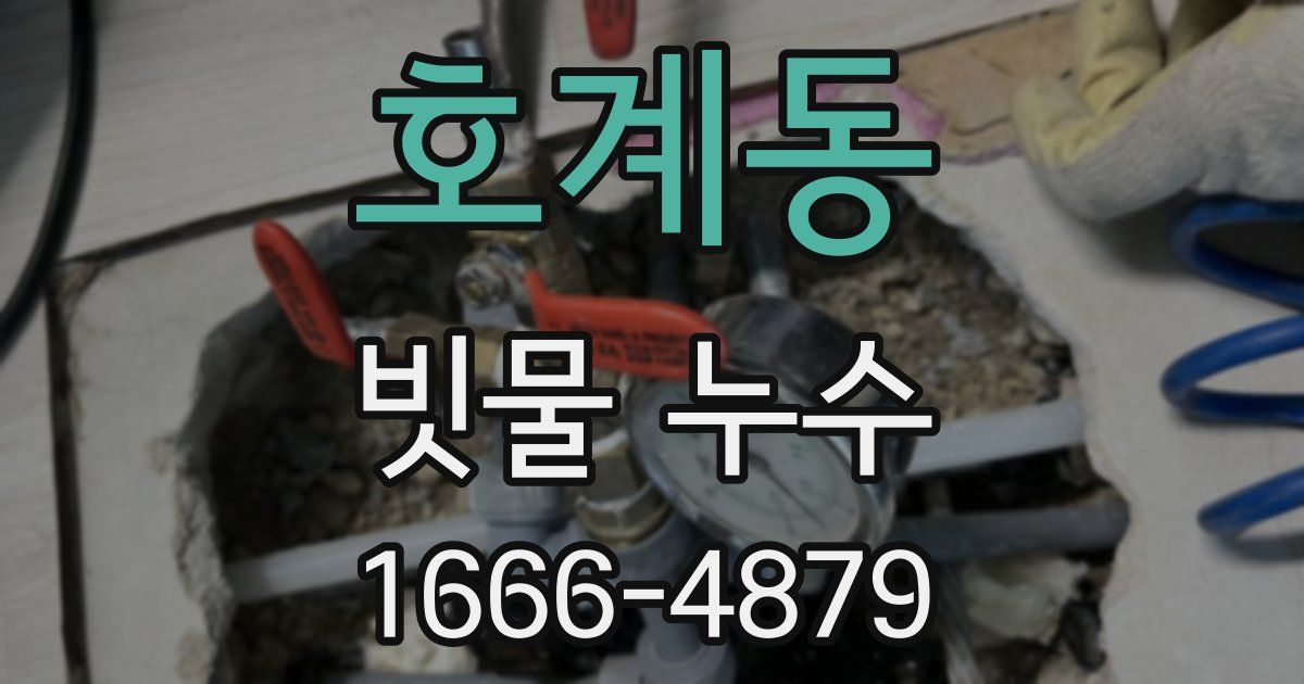 호계동 빗물 누수