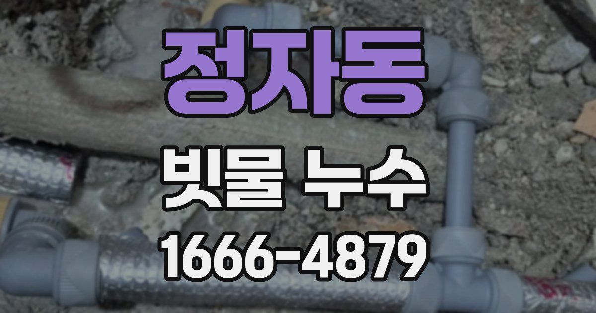 정자동 빗물 누수