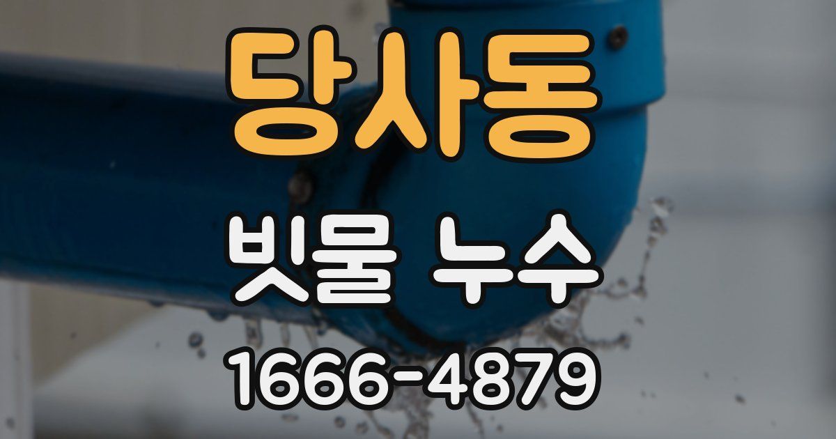 당사동 빗물 누수