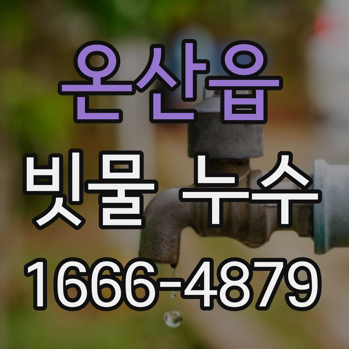 온산읍 빗물 누수