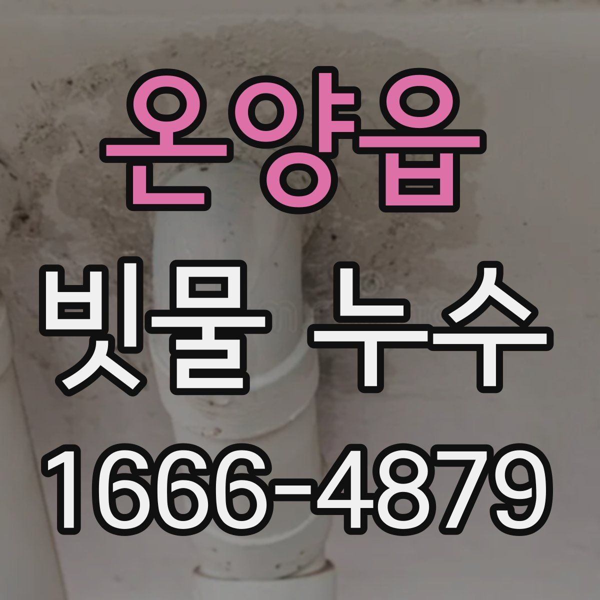 온양읍 빗물 누수