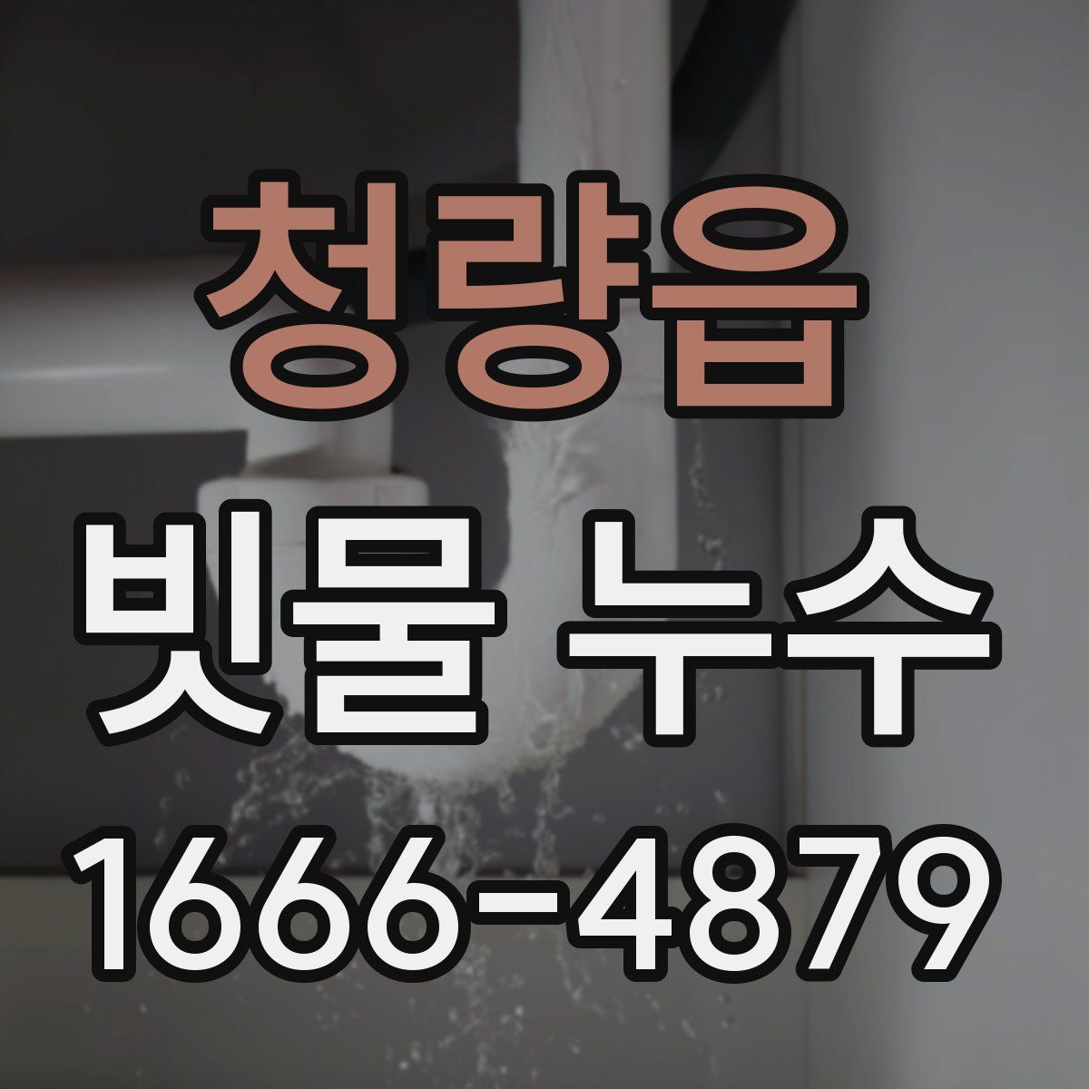 청량읍 빗물 누수