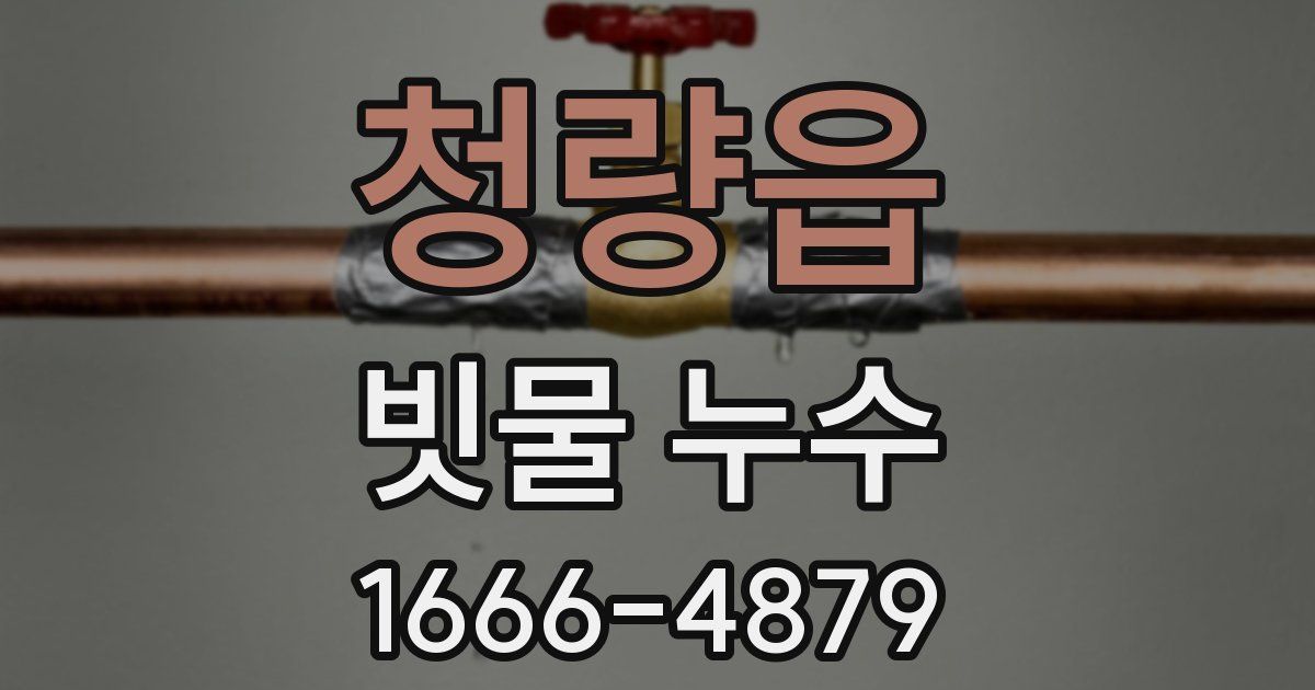 청량읍 빗물 누수