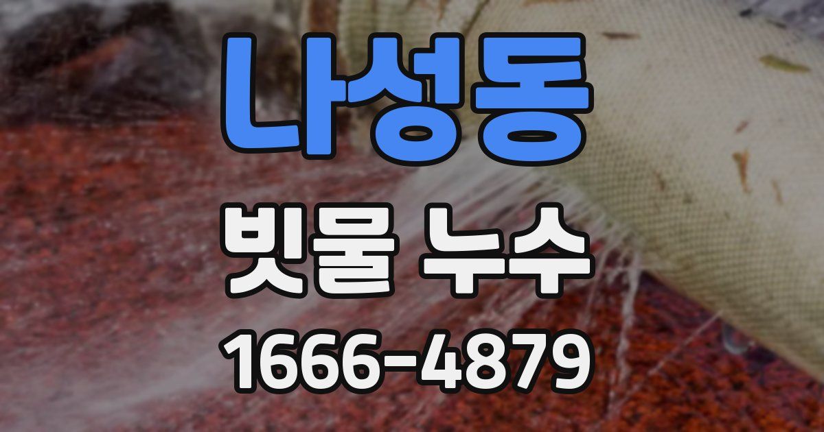 나성동 빗물 누수