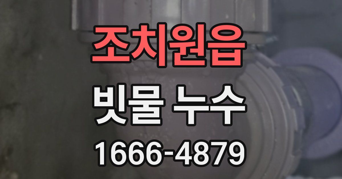 조치원읍 빗물 누수