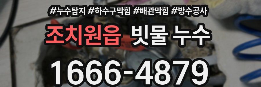 조치원읍 빗물 누수