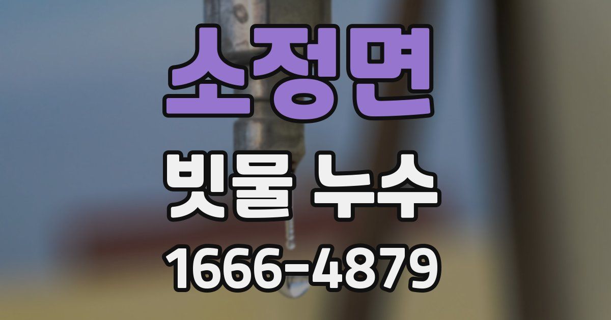 소정면 빗물 누수