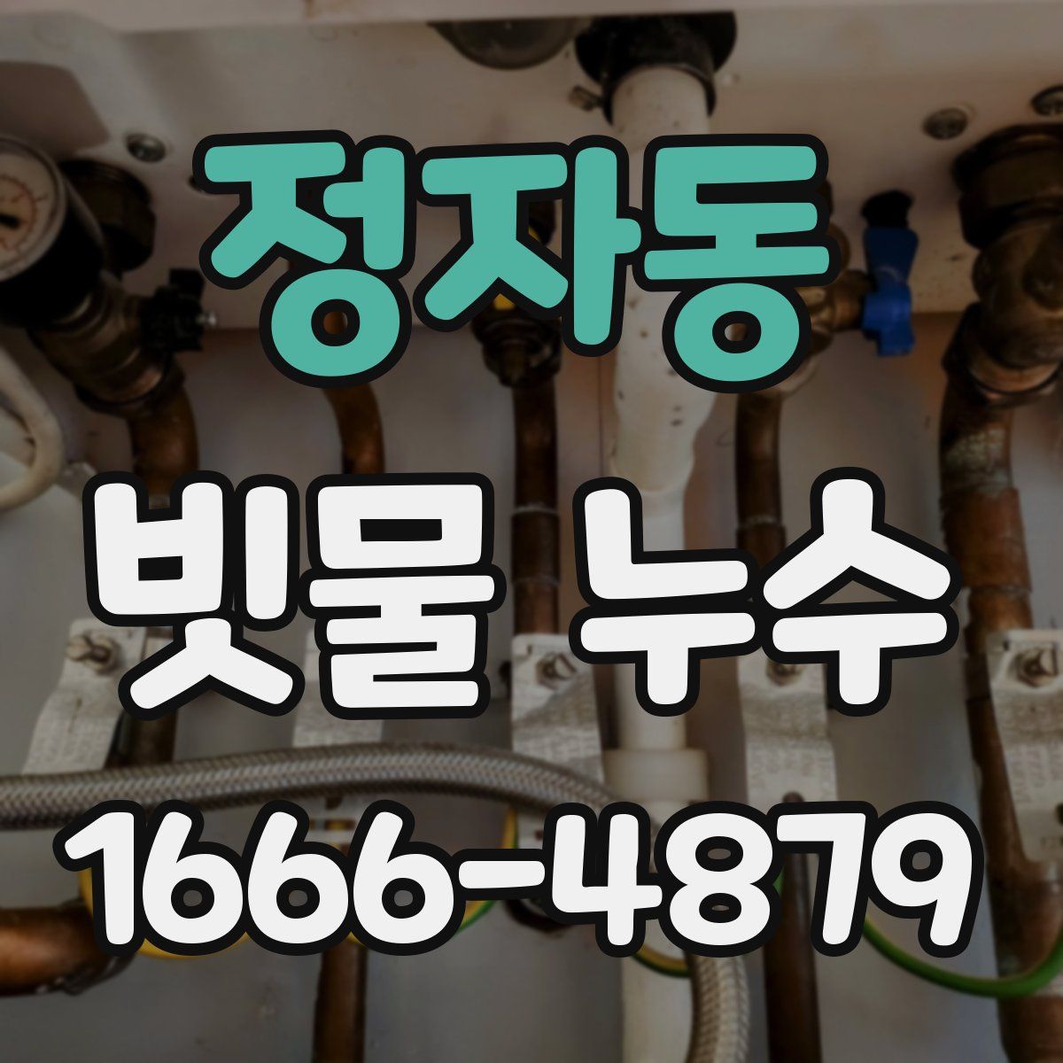 정자동 빗물 누수