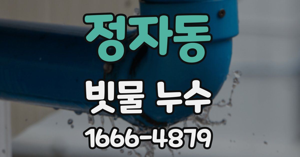 정자동 빗물 누수