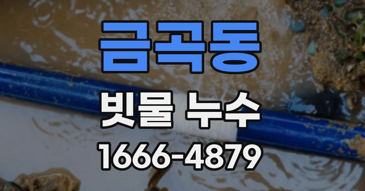 금곡동 빗물 누수