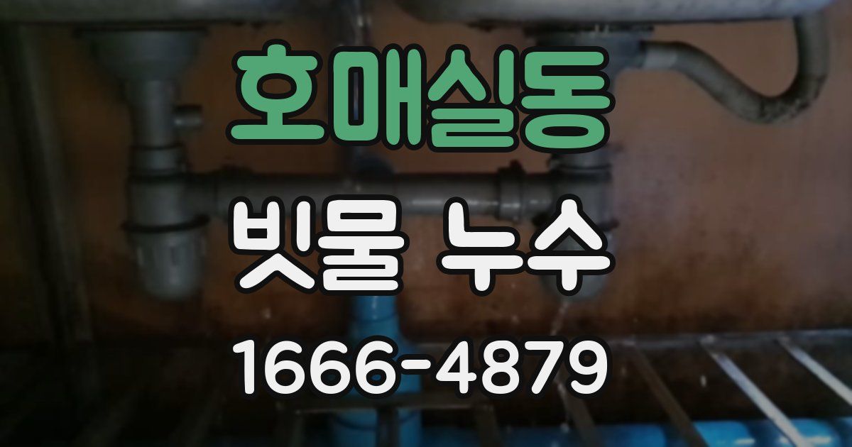 호매실동 빗물 누수