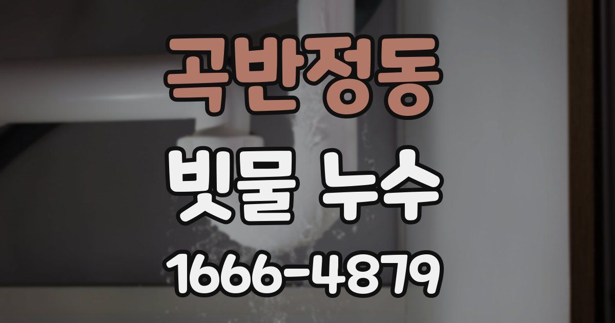 곡반정동 빗물 누수