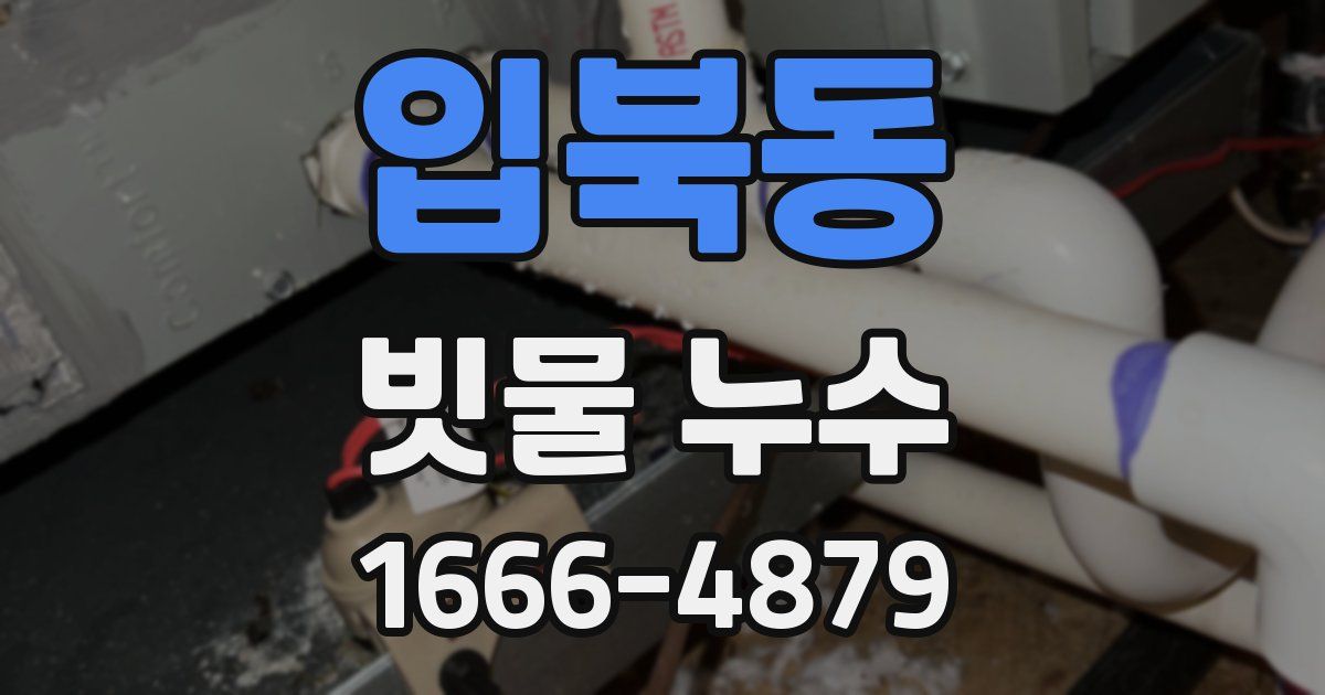 입북동 빗물 누수